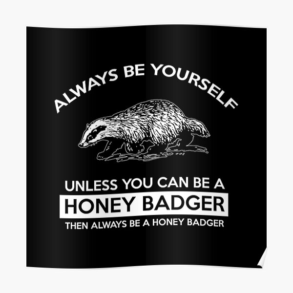 Honey Badger Don't Care the Crazy Nastyass Honey Badger 