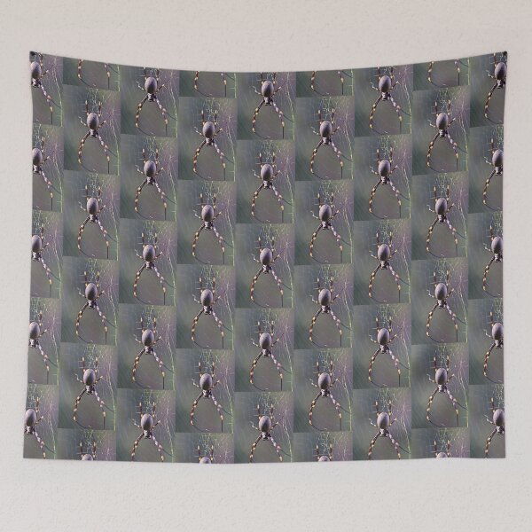 Item preview, Spider on the Web! designed and sold by Mickangelhere.