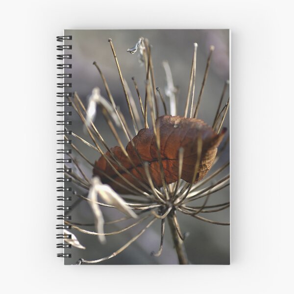 Item preview, Winters Skeleton designed and sold by Joy Watson - Natural Light Photography .