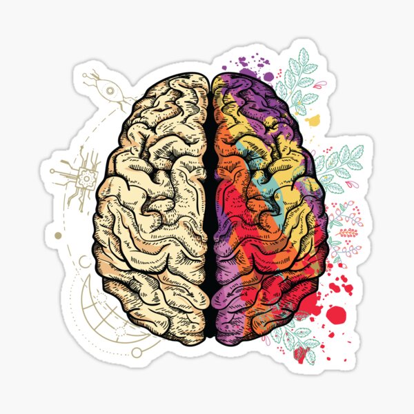 Item preview, Brain, hemisphere designed and sold by DerSenat.