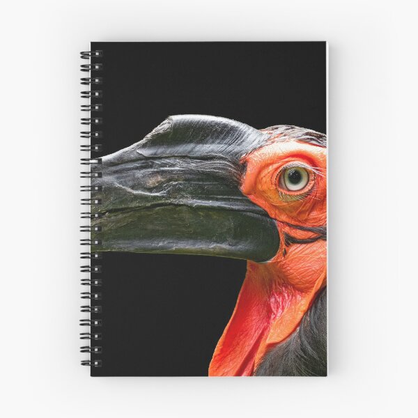 Item preview, African ground hornbill designed and sold by Ingo Gerlach.