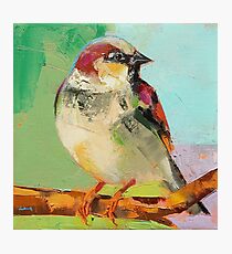 bird 20 Photographic Print