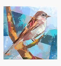 Bird 29 Photographic Print