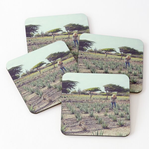 Item preview, Aloe Vera field in Aruba designed and sold by CarolinaReina.
