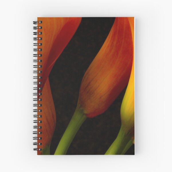 Item preview, Orange Calla Lilies  designed and sold by Marie  Cardona.