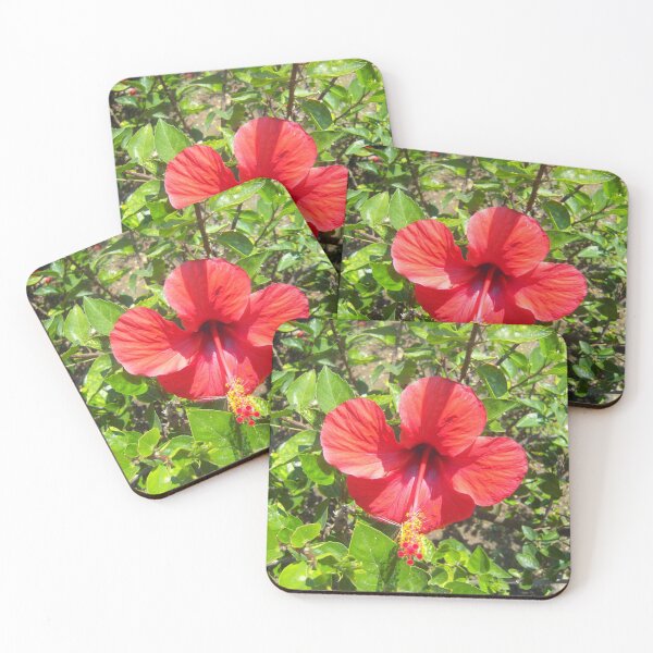 Item preview, Hibiscus designed and sold by daisyandlime.