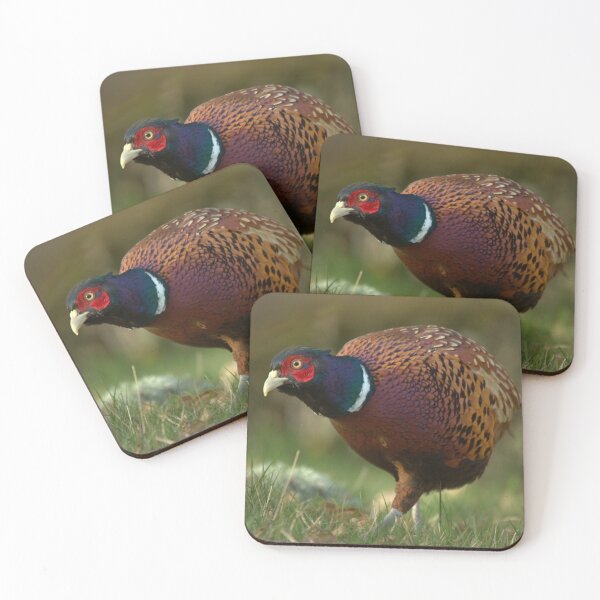 Item preview, Pheasant designed and sold by Macrae images.