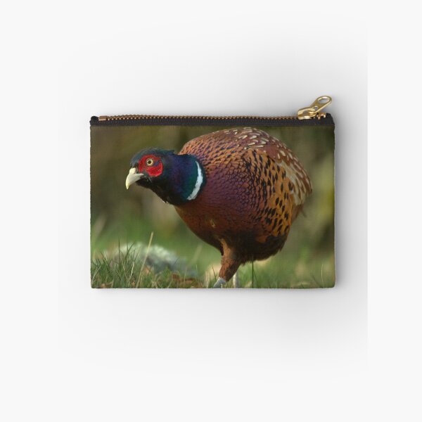 Item preview, Pheasant designed and sold by Macrae images.