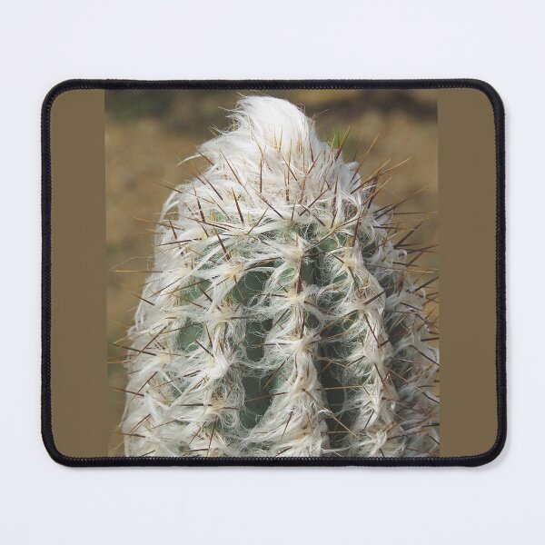 Item preview, Hairy cactus designed and sold by Linda Walsh.