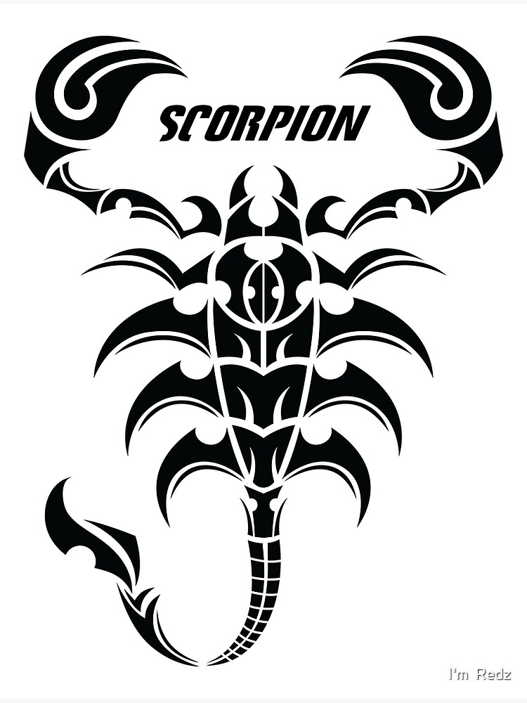 Amazon.com: Scorpion Stencil, 3 x 5 inch (S) - Bug Insect Tribal Tattoo  Stencils for Painting Template