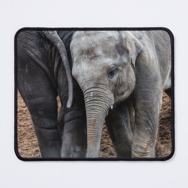 Item preview, Elephant wrestling designed and sold by Ingo Gerlach.