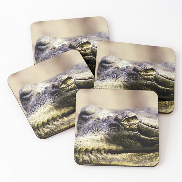 Item preview, crocodile photo with high resolution quality designed and sold by Allyouneed-2.