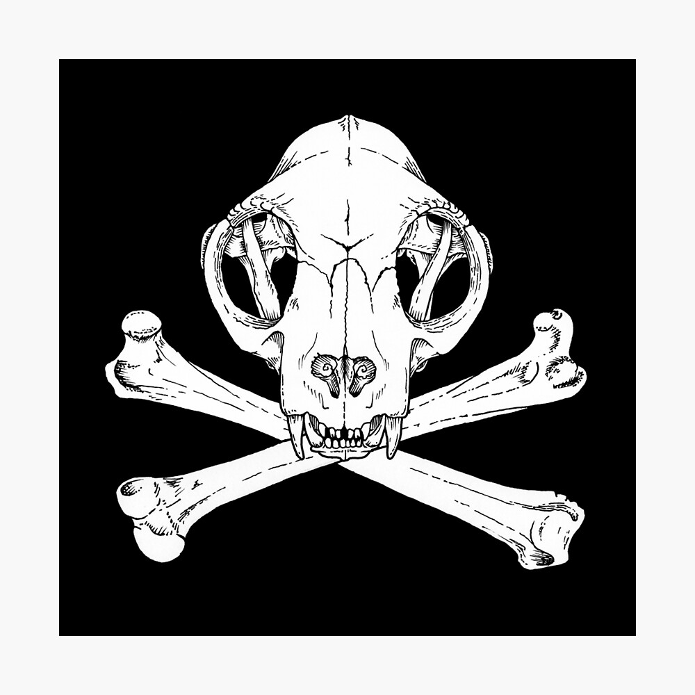 "Cat Jolly Roger" Photographic Print by Cleave Redbubble