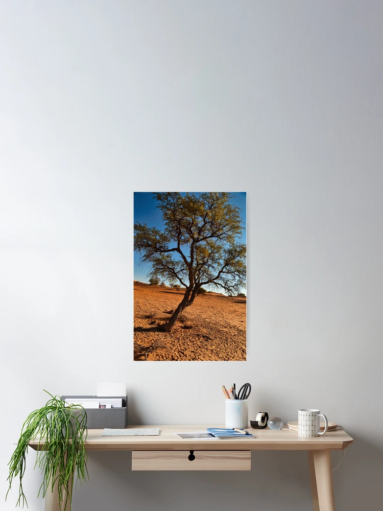 Thumbnail 2 of 3, Poster, Tree designed and sold by FotoArt-Roth.