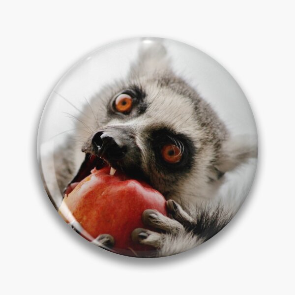 Artikelvorschau, Ein Apfel für den Lemur entworfen und verkauft von Ladymoose.