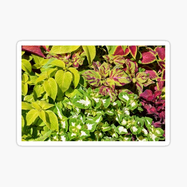 Item preview, Colorful pattern of leaves designed and sold by oanaunciuleanu.