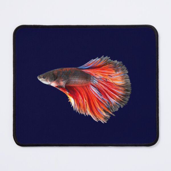 Item preview, Colorful Betta Fish designed and sold by rewstudio.