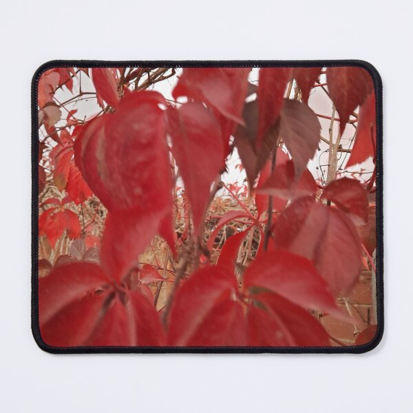 Item preview, Red leaves autumn fall  designed and sold by Saratahirb.