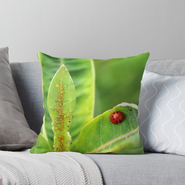 Aperçu de l'œuvre Lady Bug créée et vendue par BennyFields.