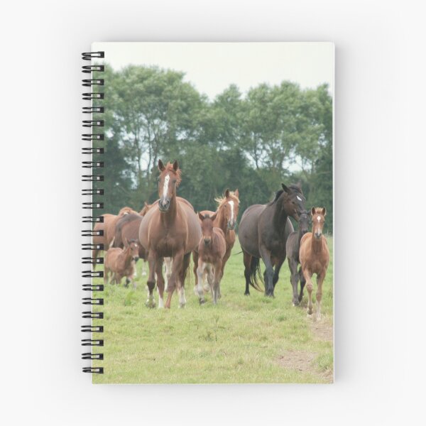 Item preview, Mares and foals, Normandy designed and sold by Denzil.