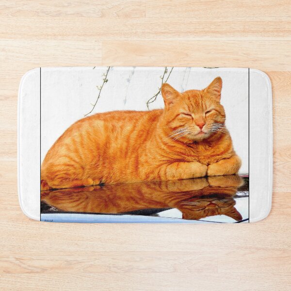 Artikelvorschau, Garfield! entworfen und verkauft von ART22.