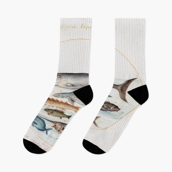 Artikelvorschau, Vintage fish species illustration entworfen und verkauft von Vintage Designs +.