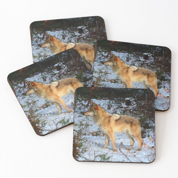 Item preview, Arctic wolf photo with high resolution quality designed and sold by Allyouneed-2.