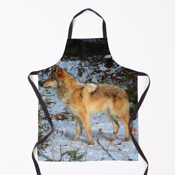 Item preview, Arctic wolf photo with high resolution quality designed and sold by Allyouneed-2.