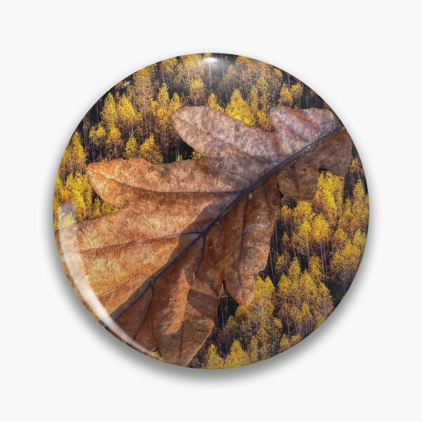 Artikelvorschau, Eichenblatt im Wald entworfen und verkauft von derekbeattie.