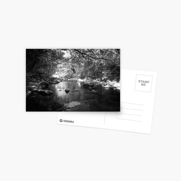 Freshwater Creek Postcard