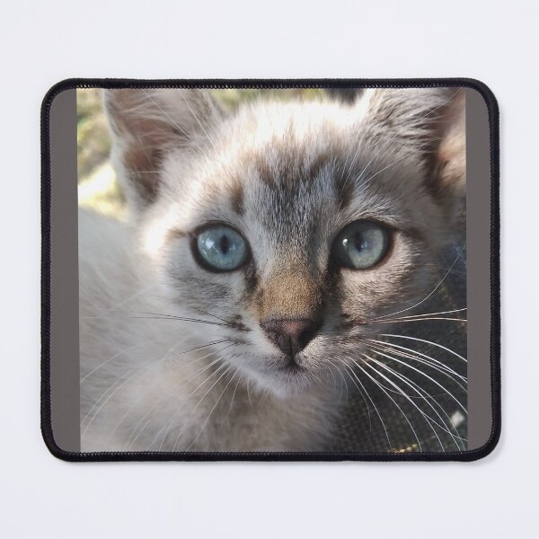Item preview, Little kitty designed and sold by Ana Belaj.