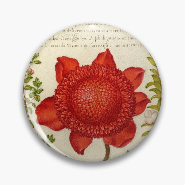Item preview, Naturalist Manuscript: Plants, Flowers, and Calligraphy Illumination - Basil Thyme, Poppy Anemone, and Myrtle by Joris Hoefnagel designed and sold by Naturalist Prints.