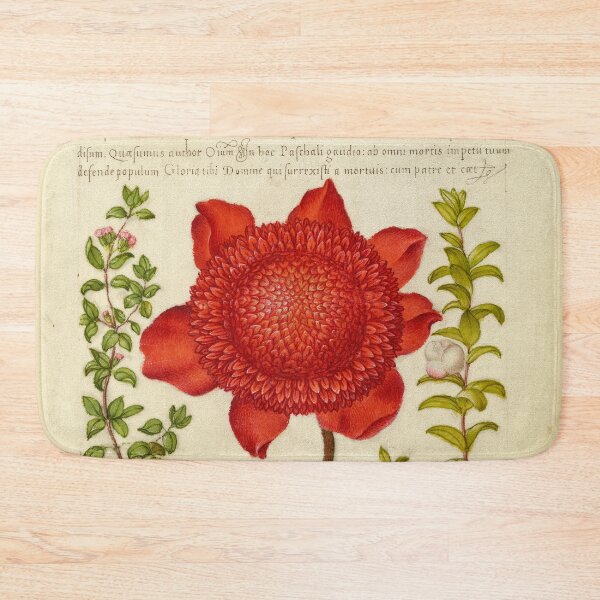 Item preview, Naturalist Manuscript: Plants, Flowers, and Calligraphy Illumination - Basil Thyme, Poppy Anemone, and Myrtle by Joris Hoefnagel designed and sold by Naturalist Prints.