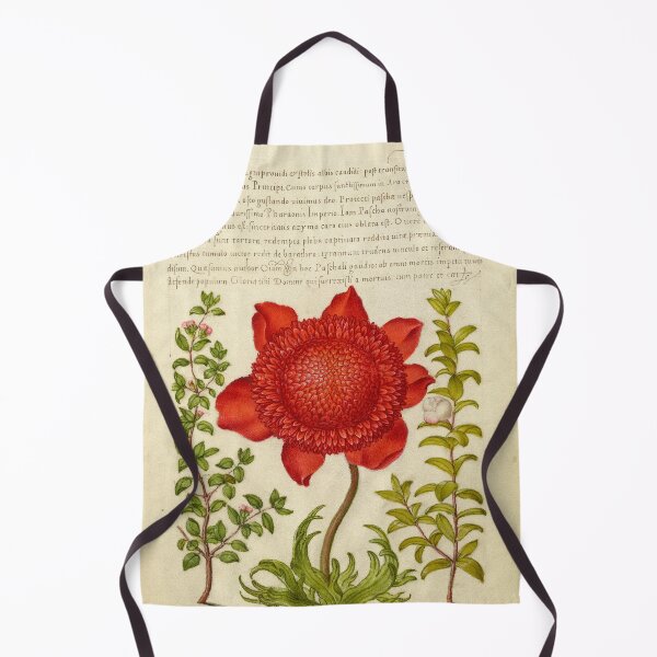 Item preview, Naturalist Manuscript: Plants, Flowers, and Calligraphy Illumination - Basil Thyme, Poppy Anemone, and Myrtle by Joris Hoefnagel designed and sold by Naturalist Prints.