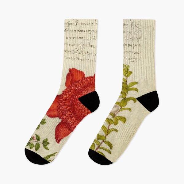 Item preview, Naturalist Manuscript: Plants, Flowers, and Calligraphy Illumination - Basil Thyme, Poppy Anemone, and Myrtle by Joris Hoefnagel designed and sold by Naturalist Prints.