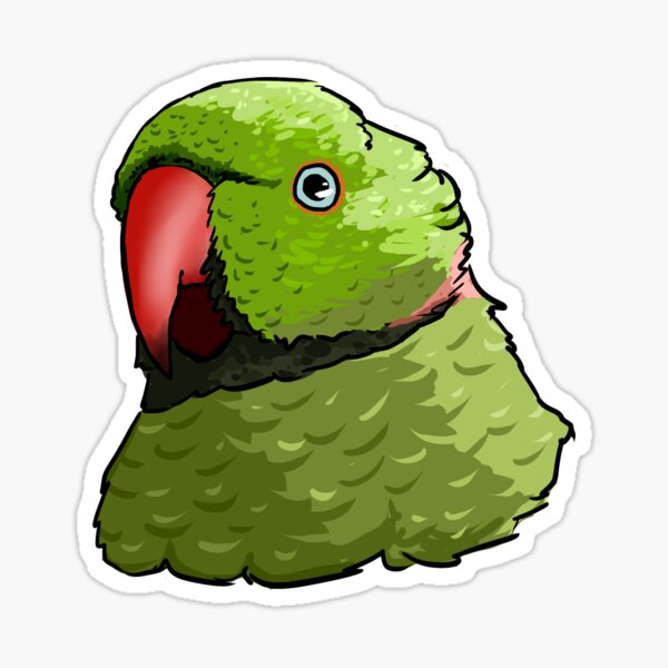Item preview, Fluffy Indian Ringneck Parrot  designed and sold by poicephalus.