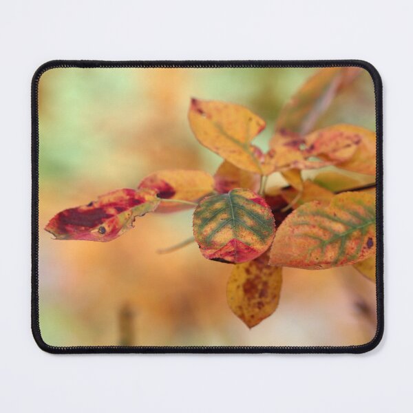 Item preview, Autumn Paintbrush designed and sold by cuprum.