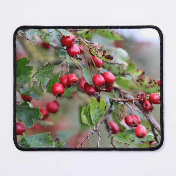 Item preview, Hawthorn Berries designed and sold by cuprum.