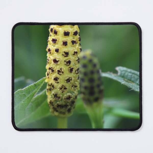 Item preview, Horsetail Flower designed and sold by cuprum.
