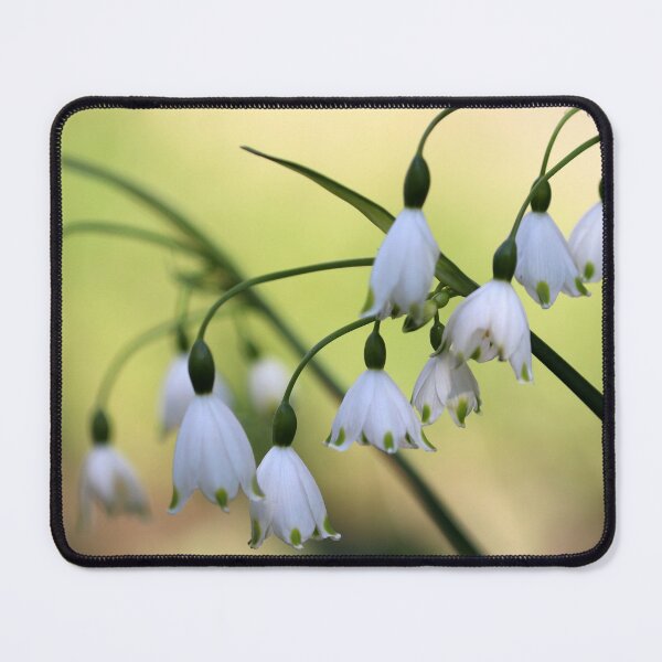 Item preview, Summer Snowflake designed and sold by cuprum.
