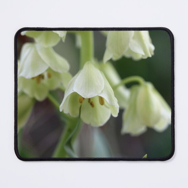Item preview, Ivory Bells designed and sold by cuprum.