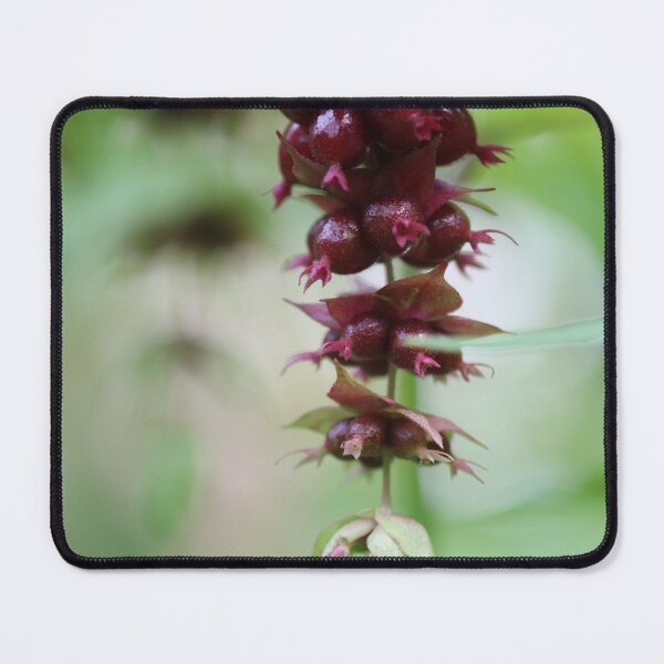 Item preview, Pheasant Berry designed and sold by cuprum.
