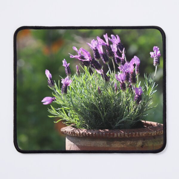 Item preview, Lovely Lavender designed and sold by cuprum.