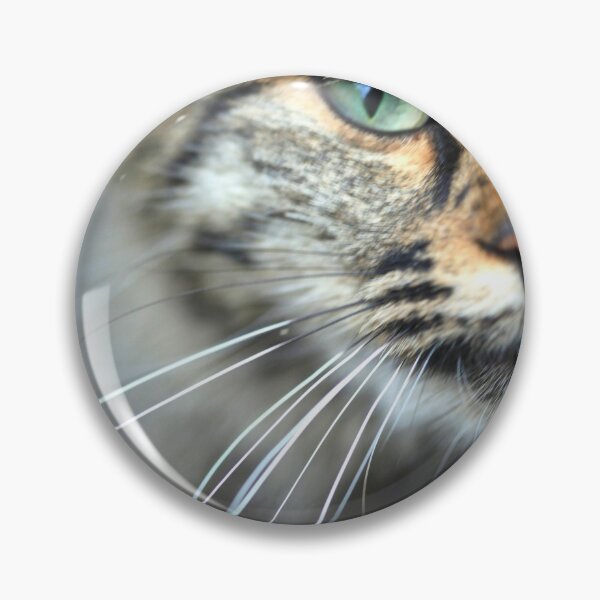 Item preview, Portrait of cute grey cat designed and sold by olena2552.