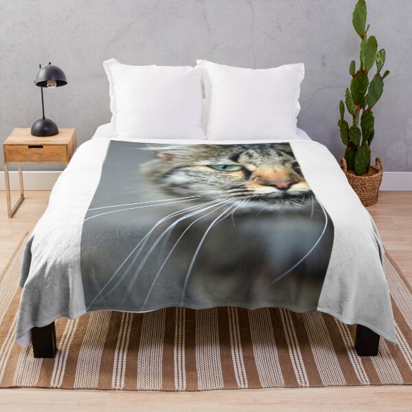 Item preview, Portrait of cute grey cat designed and sold by olena2552.