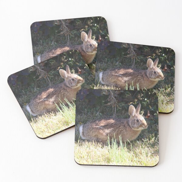 Item preview, Eastern Cottontail Rabbit Bunny Side View designed and sold by JariHawk.