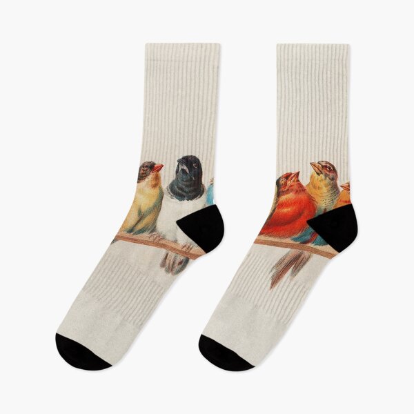 Item preview, Vintage Birds Illustration designed and sold by livianasgifts.