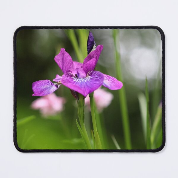 Item preview, Purple Beauty designed and sold by cuprum.