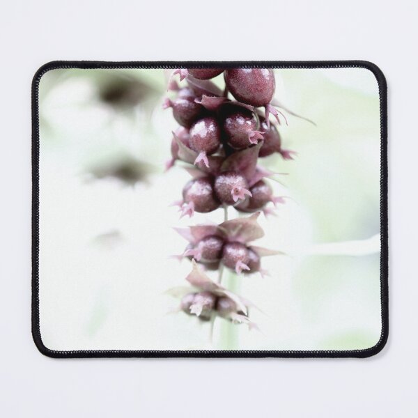 Item preview, Pheasant berry in high key designed and sold by cuprum.