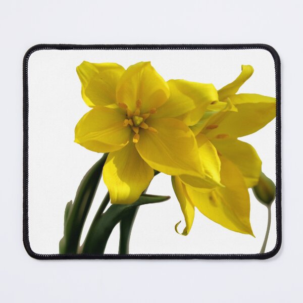 Item preview, It's a Bright Sunshiny Day designed and sold by cuprum.